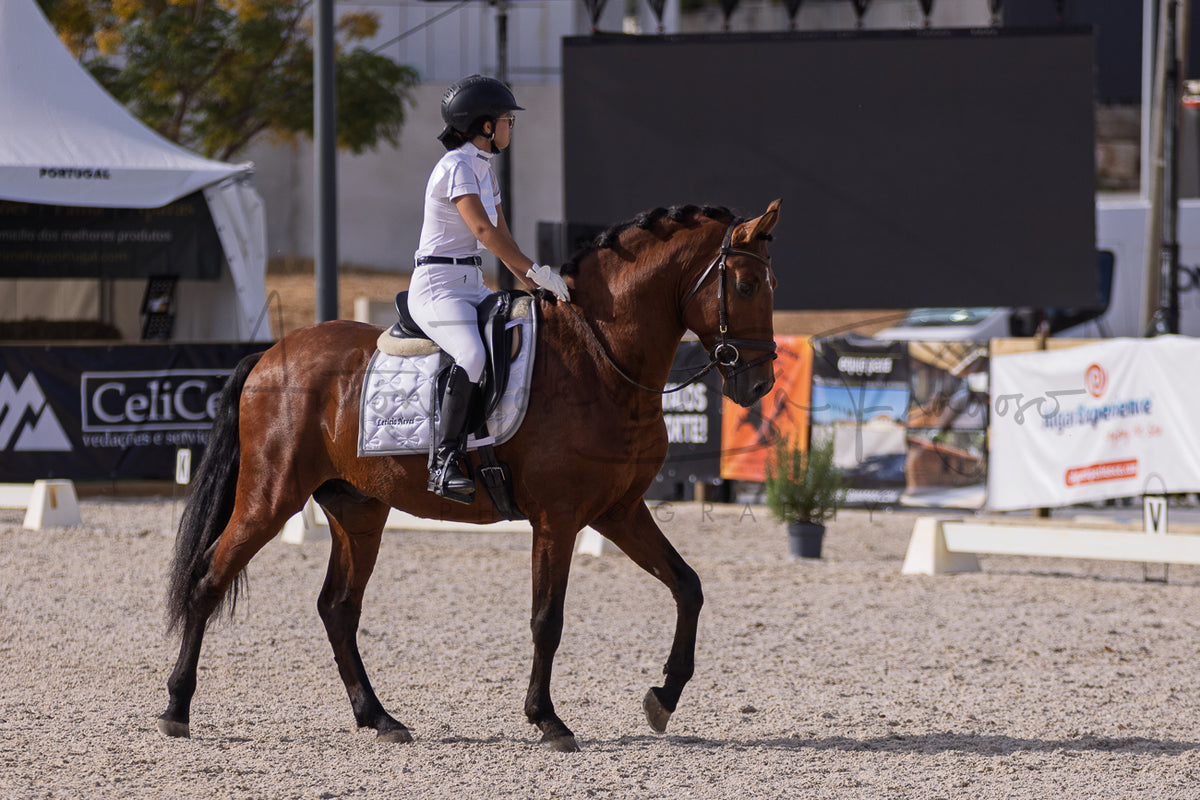 A rider in white equestrian attire sits on a brown horse in an outdoor riding arena, with event tents and banners visible in the background.